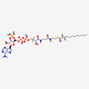 molecular formula C33H56N7O17P3S B1244856 trans-Dodec-2-enoyl-CoA 