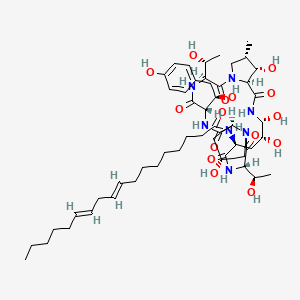 molecular formula C52H81N7O15 B1244867 (9E,12E)-N-[(3S,6S,9S,11R,15S,18S,20R,21R,24S,25S,26S)-11,20,21,25-tetrahydroxy-3,15-bis[(1R)-1-hydroxyethyl]-6-[(1R)-1-hydroxy-2-(4-hydroxyphenyl)ethyl]-26-methyl-2,5,8,14,17,23-hexaoxo-1,4,7,13,16,22-hexazatricyclo[22.3.0.09,13]heptacosan-18-yl]octadeca-9,12-dienamide 