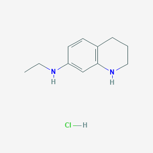 molecular formula C11H17ClN2 B12449653 N-ethyl-1,2,3,4-tetrahydroquinolin-7-aMine hydrochloride 