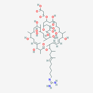 molecular formula C61H107N3O20 B1244976 3-[[(12E,14E,22E)-17-[(E)-10-(diaminomethylideneamino)-4-methyldec-4-en-2-yl]-5,7,9,11,21,25,27,29,31,35,37,38,39-tridecahydroxy-10,16,20,22,26,30,34-heptamethyl-19-oxo-18,41-dioxabicyclo[35.3.1]hentetraconta-12,14,22-trien-3-yl]oxy]-3-oxopropanoic acid 