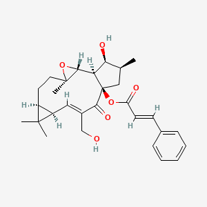 molecular formula C29H36O6 B1245019 [(1R,2R,4R,7S,9R,10E,13R,15S,16S)-16-hydroxy-11-(hydroxymethyl)-4,8,8,15-tetramethyl-12-oxo-3-oxatetracyclo[11.3.0.02,4.07,9]hexadec-10-en-13-yl] (E)-3-phenylprop-2-enoate 