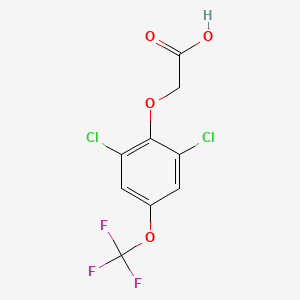 2-[2,6-Dichloro-4-(trifluoromethoxy)phenoxy]acetic acid