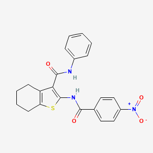 molecular formula C22H19N3O4S B12450773 2-{[(4-nitrophenyl)carbonyl]amino}-N-phenyl-4,5,6,7-tetrahydro-1-benzothiophene-3-carboxamide 