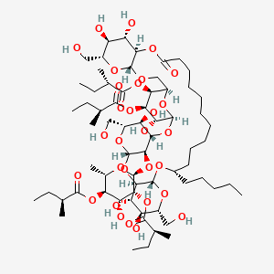 molecular formula C66H112O30 B1245120 [(2S,3R,4R,5R,6S)-6-[[(1S,3S,4R,5R,7S,9R,10S,11S,12R,14R,16S,28R,29S,30S,31R,33R,36R,37R,38R,39R,41R)-4,10,11,29,30,39-hexahydroxy-5,12,31-tris(hydroxymethyl)-37,38-bis[[(2S)-2-methylbutanoyl]oxy]-26-oxo-16-pentyl-2,6,8,13,15,27,32,34,40-nonaoxapentacyclo[34.3.1.13,7.09,14.028,33]hentetracontan-41-yl]oxy]-4-hydroxy-2-methyl-5-[(2S)-2-methylbutanoyl]oxyoxan-3-yl] (2S)-2-methylbutanoate 