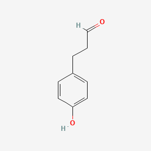 molecular formula C9H10O2 B1245166 3-(4-羟基苯基)丙醛 CAS No. 20238-83-9