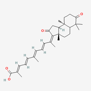 rhabdastrellic acid A