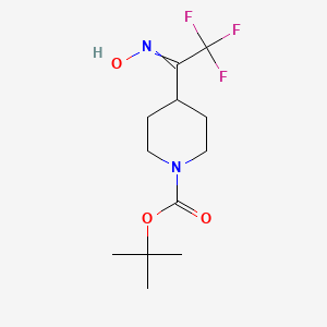 molecular formula C12H19F3N2O3 B12453016 Tert-butyl 4-[2,2,2-trifluoro-1-(hydroxyimino)ethyl]piperidine-1-carboxylate 