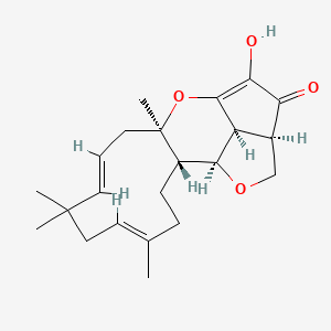 xenovulene A