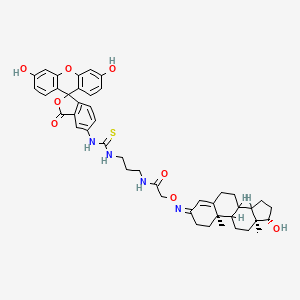 molecular formula C45H50N4O8S B1245394 Testosterone-dap-fluorescein CAS No. 75585-81-8