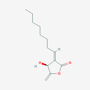 molecular formula C13H20O3 B1245455 Isokotomolide A 