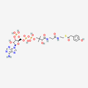 molecular formula C29H42N7O18P3S B1245459 4-Hydroxyphenylacetyl-CoA 