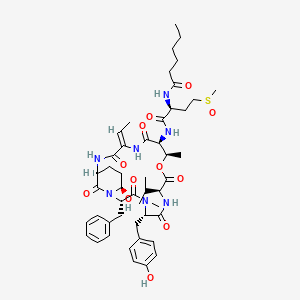 molecular formula C48H67N7O12S B1245476 Somamide A 