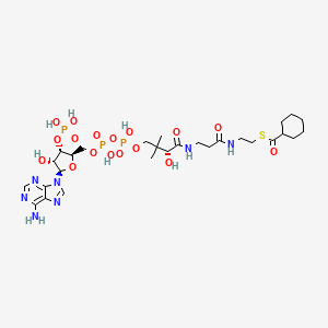 B1245529 cyclohexane-1-carbonyl-CoA CAS No. 5960-12-3