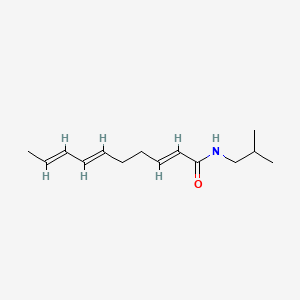 molecular formula C14H23NO B1245566 (2e,6e,8e)-n-(2-甲基丙基)-2,6,8-癸三烯酰胺 CAS No. 76361-77-8