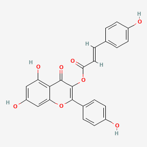 molecular formula C24H16O8 B1245605 山奈酚 3-对香豆酸酯 