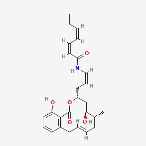molecular formula C26H33NO5 B1245638 (2Z,4Z)-N-[(Z)-3-[(4R,6S,7R,9E)-6,16-dihydroxy-7-methyl-2-oxo-3-oxabicyclo[10.4.0]hexadeca-1(12),9,13,15-tetraen-4-yl]prop-1-enyl]hepta-2,4-dienamide 