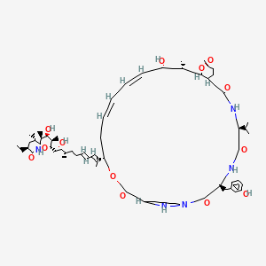 molecular formula C61H93N5O13 B1245857 Sanglifehrin C 