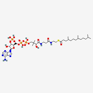 molecular formula C37H66N7O17P3S B1245935 4,8,12-Trimethyltridecanoyl-CoA 
