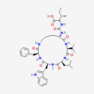 molecular formula C45H64N8O8 B1246002 Brunsvicamide A 