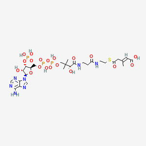 molecular formula C27H42N7O19P3S B1246005 trans-3-methylglutaconyl-CoA 