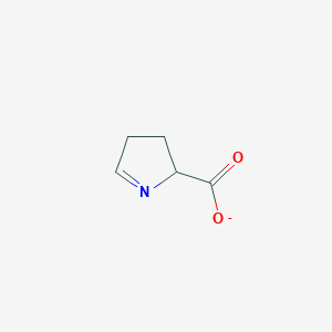 molecular formula C5H6NO2- B1246006 3,4-Dihydro-2H-Pyrrole-2-carboxylate 