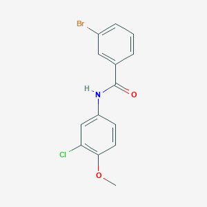 molecular formula C14H11BrClNO2 B12460823 3-bromo-N-(3-chloro-4-methoxyphenyl)benzamide 