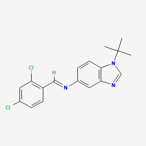 1-tert-butyl-N-[(E)-(2,4-dichlorophenyl)methylidene]-1H-benzimidazol-5-amine