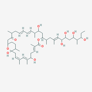molecular formula C48H78O11 B1246421 (3E,7E,9Z,21E,23E)-3,7,9,13,19,25-Hexamethyl-6,12,26-trihydroxy-12,16-epoxy-28-[(3E)-1,3,9-trimethyl-5,6,8,10-tetrahydroxy-3-dodecenyl]-1-oxacyclooctacosa-3,7,9,21,23-pentaene-2,18-dione 