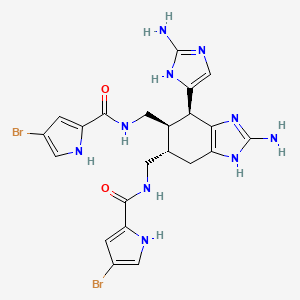 molecular formula C22H24Br2N10O2 B1246461 nagelamide E 