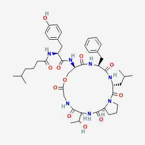 molecular formula C45H63N7O11 B1246523 Kahalalide B 