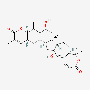 kadlongilactone A