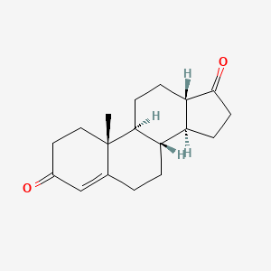 molecular formula C18H24O2 B1246710 Gon-4-ene-3,17-dione, 10-methyl- CAS No. 93998-22-2