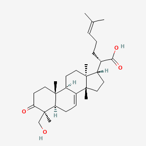 molecular formula C30H46O4 B1246744 Xanthocerasic acid 