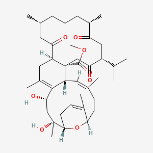 molecular formula C41H62O8 B1246767 methyl tortuoate A 