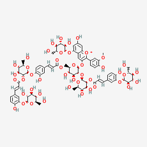 molecular formula C79H91O45+ B1246793 [(2R,3S,4S,5R,6S)-5-[(2S,3R,4S,5S,6R)-4,5-dihydroxy-6-(hydroxymethyl)-3-[(E)-3-[4-hydroxy-3-[(2S,3R,4S,5S,6R)-3,4,5-trihydroxy-6-(hydroxymethyl)oxan-2-yl]oxyphenyl]prop-2-enoyl]oxyoxan-2-yl]oxy-3,4-dihydroxy-6-[7-hydroxy-2-(4-hydroxy-3-methoxyphenyl)-5-[(2S,3R,4S,5S,6R)-3,4,5-trihydroxy-6-(hydroxymethyl)oxan-2-yl]oxychromenylium-3-yl]oxyoxan-2-yl]methyl (E)-3-[4-[(2S,3R,4S,5S,6R)-4,5-dihydroxy-6-(hydroxymethyl)-3-[(E)-3-[4-hydroxy-3-[(2S,3R,4S,5S,6R)-3,4,5-trihydroxy-6-(hydroxymethyl)oxan-2-yl]oxyphenyl]prop-2-enoyl]oxyoxan-2-yl]oxy-3-hydroxyphenyl]prop-2-enoate 