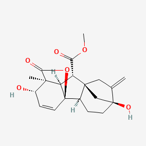 molecular formula C20H24O6 B1246972 赤霉素A3甲酯 CAS No. 510-50-9