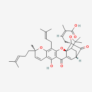 (Z)-4-[(2S,8R,17S,19R)-12-hydroxy-8,21,21-trimethyl-5-(3-methylbut-2-enyl)-8-(4-methylpent-3-enyl)-14,18-dioxo-3,7,20-trioxahexacyclo[15.4.1.02,15.02,19.04,13.06,11]docosa-4(13),5,9,11,15-pentaen-19-yl]-2-methylbut-2-enoic acid