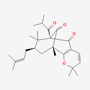 molecular formula C26H36O4 B1246993 Papuaforin A 