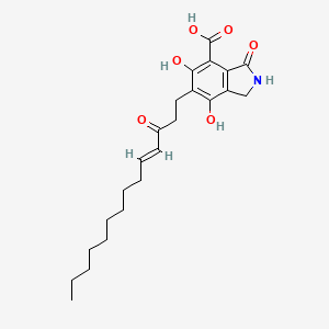 molecular formula C23H31NO6 B1247035 Xylactam 