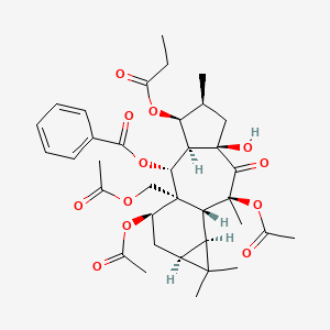 molecular formula C36H46O12 B1247065 Premyrsinol-3-丙酸酯-5-苯甲酸酯-7,13,17-三乙酸酯 