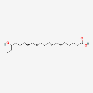 18-Hydroxyarachidonic acid