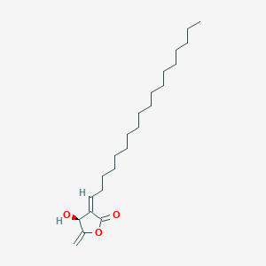 molecular formula C23H40O3 B1247078 Isophilippinolide A 