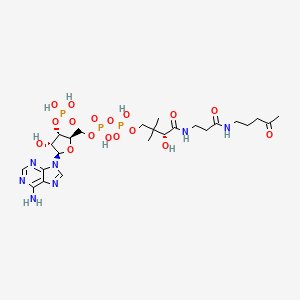 [[(2R,3S,4R,5R)-5-(6-aminopurin-9-yl)-4-oxidanyl-3-phosphonooxy-oxolan-2-yl]methoxy-oxidanyl-phosphoryl] [(3R)-2,2-dimethyl-3-oxidanyl-4-oxidanylidene-4-[[3-oxidanylidene-3-(4-oxidanylidenepentylamino)propyl]amino]butyl] hydrogen phosphate