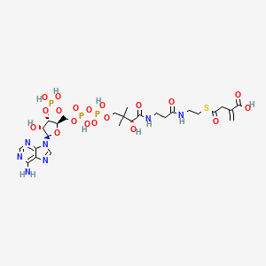 molecular formula C26H40N7O19P3S B1247127 Itaconyl-CoA 