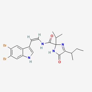 molecular formula C21H24Br2N4O2 B1247145 Kottamide A 