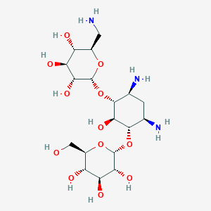 Kanamycin D