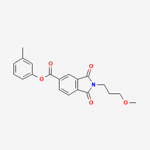 3-methylphenyl 2-(3-methoxypropyl)-1,3-dioxo-2,3-dihydro-1H-isoindole-5-carboxylate