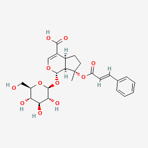 molecular formula C25H30O11 B1247173 8-O-Cinnamoylmussaenosidic Acid 