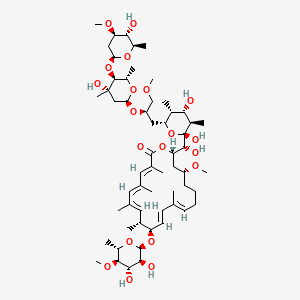molecular formula C58H96O20 B1247196 Apoptolidin B 