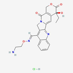molecular formula C23H23ClN4O5 B1247248 (19S)-10-[(E)-2-aminoethoxyiminomethyl]-19-ethyl-19-hydroxy-17-oxa-3,13-diazapentacyclo[11.8.0.02,11.04,9.015,20]henicosa-1(21),2,4,6,8,10,15(20)-heptaene-14,18-dione;hydrochloride 